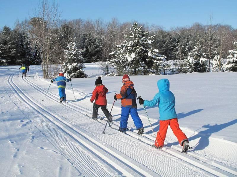 Chalet Alpine Sainte-Adele Bagian luar foto
